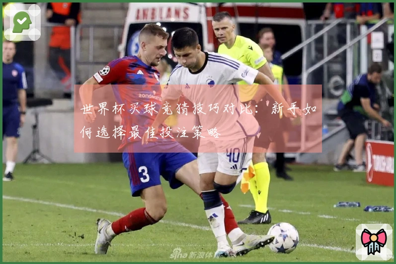 世界杯买球竞猜技巧对比：新手如何选择最佳投注策略
