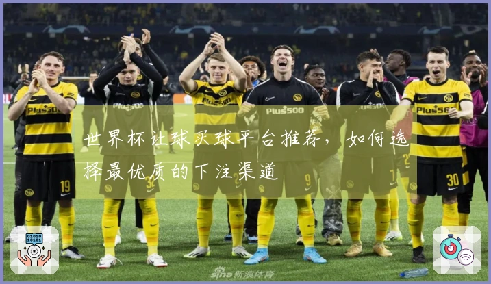 世界杯让球买球平台推荐，如何选择最优质的下注渠道