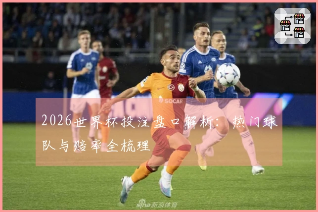 2026世界杯投注盘口解析：热门球队与赔率全梳理