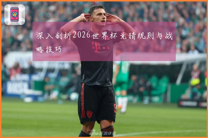 深入剖析2026世界杯竞猜规则与战略技巧