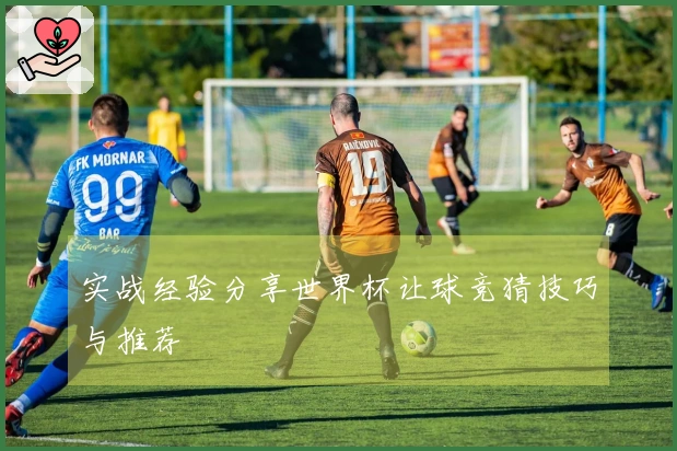 实战经验分享世界杯让球竞猜技巧与推荐