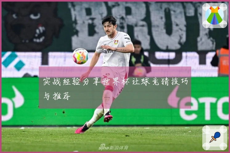 实战经验分享世界杯让球竞猜技巧与推荐