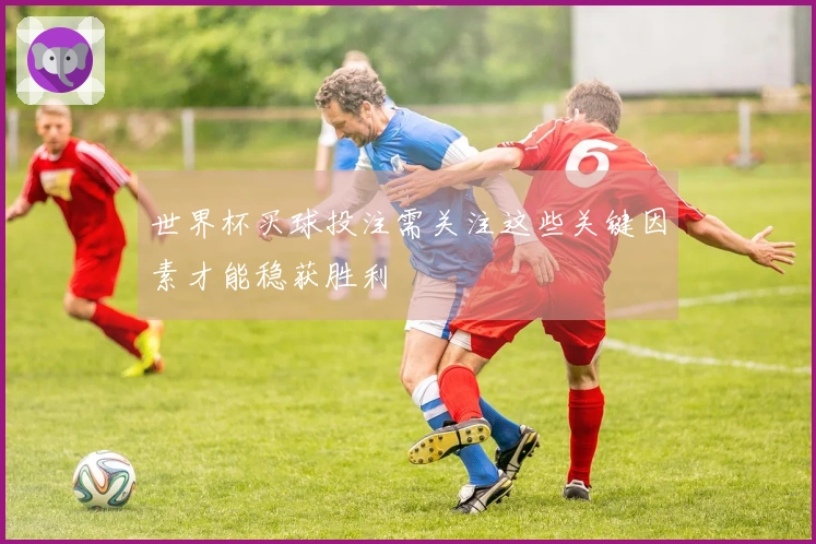 世界杯买球投注需关注这些关键因素才能稳获胜利