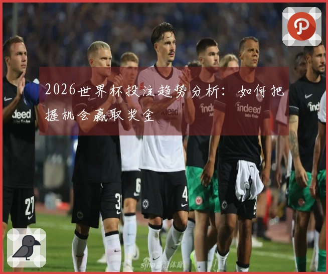 2026世界杯投注趋势分析：如何把握机会赢取奖金