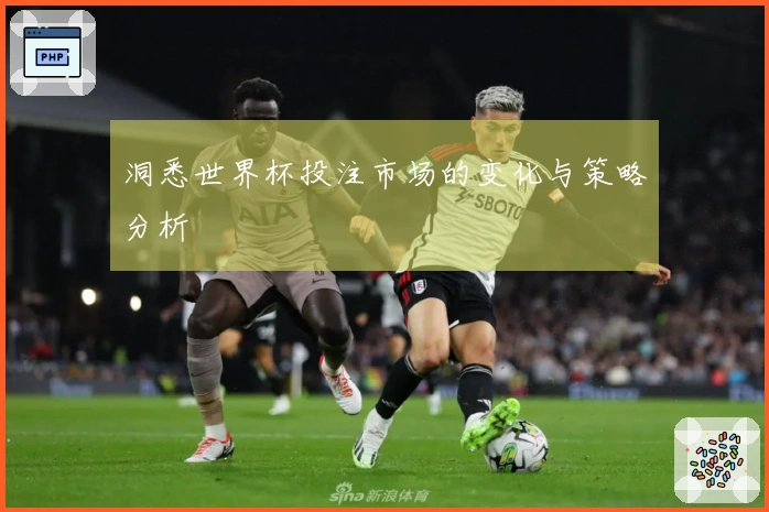洞悉世界杯投注市场的变化与策略分析