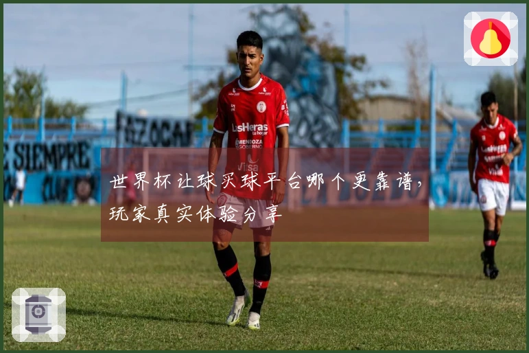 世界杯让球买球平台哪个更靠谱，玩家真实体验分享