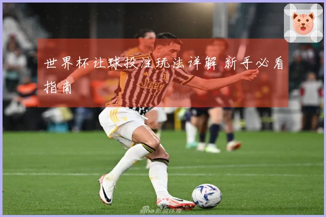 世界杯让球投注玩法详解 新手必看指南